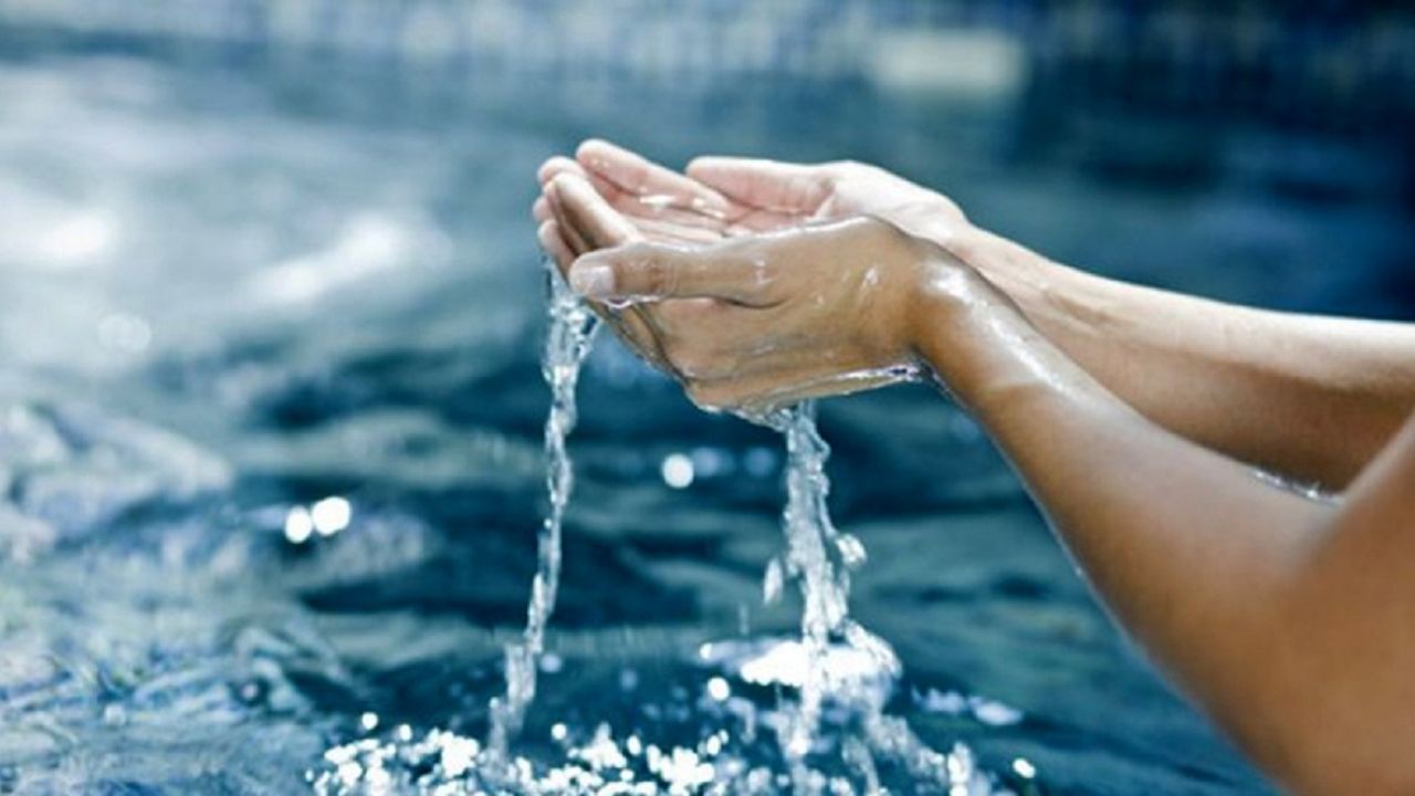 ESPERANZA ROSAS LÓPEZ